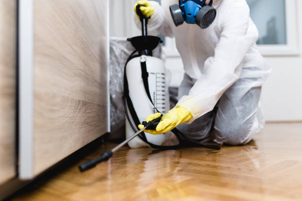 Best Insect Control  in Paducah, KY