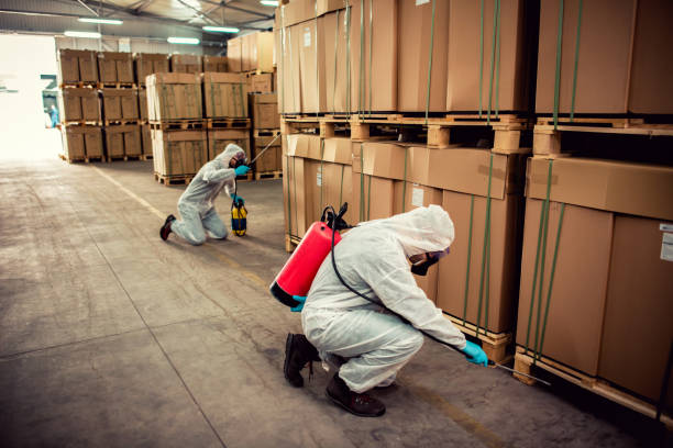 Best Wildlife Control Services  in Paducah, KY