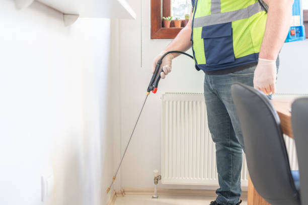 Best Wasp Removal Services  in Paducah, KY