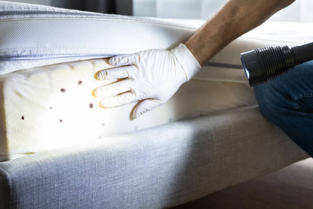 Best Commercial Pest Control Services  in Paducah, KY