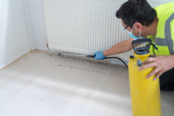 Pest Prevention Services in Paducah, KY